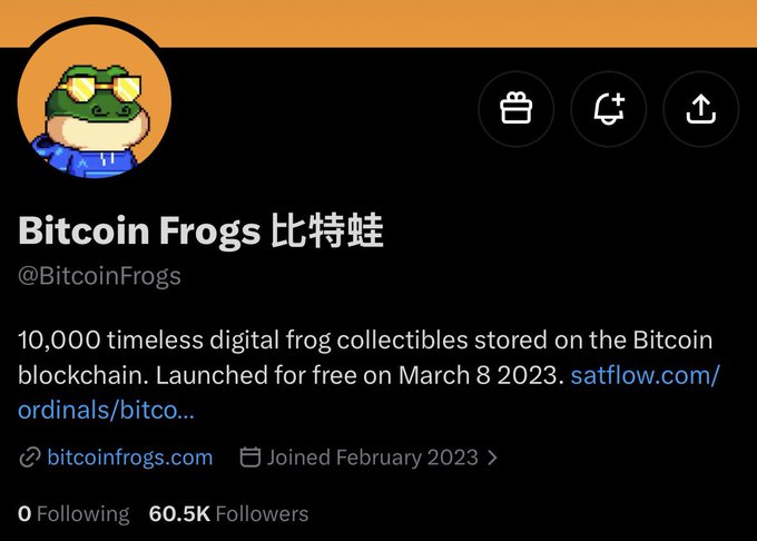 Twitter profile for 'Bitcoin Frogs 比特蛙' (@BitcoinFrogs) showing 60.5K followers, describing '10,000 timeless digital frog collectibles stored on the Bitcoin blockchain. Launched for free on March 8 2023.' with website bitcoinfrogs.com.