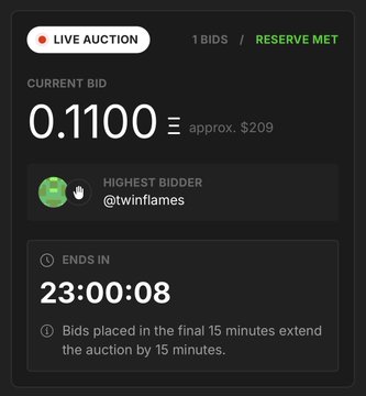 A live auction screen displays a current bid of 0.1100 (approx. $209) placed by @winflames, with 23:00:08 remaining and a 'RESERVE MET' status.