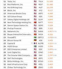 A stock ranking list showing publicly traded companies including Tesla (TSLA), Riot Platforms (RIOT), Hut 8 Mining (HUT), Block (XYZ), American Bitcoin Corp (ABTC), and others with their respective share prices.