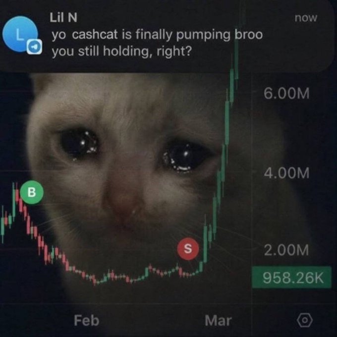 A meme featuring a sad, teary-eyed cat overlaid on a cryptocurrency/stock price chart that surges sharply in March, accompanied by a message from "Lil N" reading "yo cashcat is finally pumping broo you still holding, right?" with visible price markers at 958.26K, 2.00M, 4.00M, and 6.00M.
