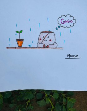 A simple child's drawing of a gray mouse next to a small potted plant in the rain, with a thought bubble reading 'Gimme' and labeled 'Mouse' underneath.