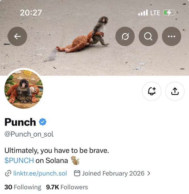 A Twitter/X profile for 'Punch' (@Punch_on_sol), a verified account with 9.7K followers, featuring a bio reading 'Ultimately, you have to be brave. $PUNCH on Solana 🦦' and a banner image of a monkey with an orangutan.