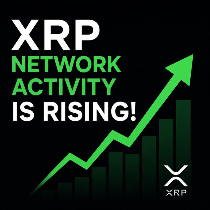 A graphic with the text 'XRP NETWORK ACTIVITY IS RISING!' in white and green, featuring a green upward-pointing arrow over a bar chart and the XRP logo on a black background.