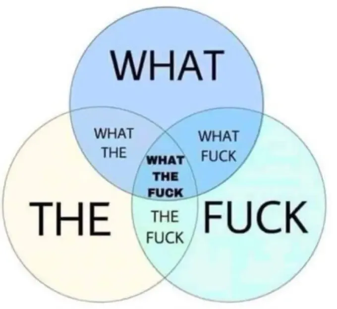 A three-circle Venn diagram featuring the words "WHAT," "THE," and "FUCK" in overlapping blue, yellow, and teal sections, with the center intersection reading "WHAT THE FUCK." The image humorously expresses exasperation, likely reflecting reaction to complex DeFi concepts discussed in Linn's Leverage newsletter covering protocols like Boros, Pendle, Maple Finance, and Theo Network.