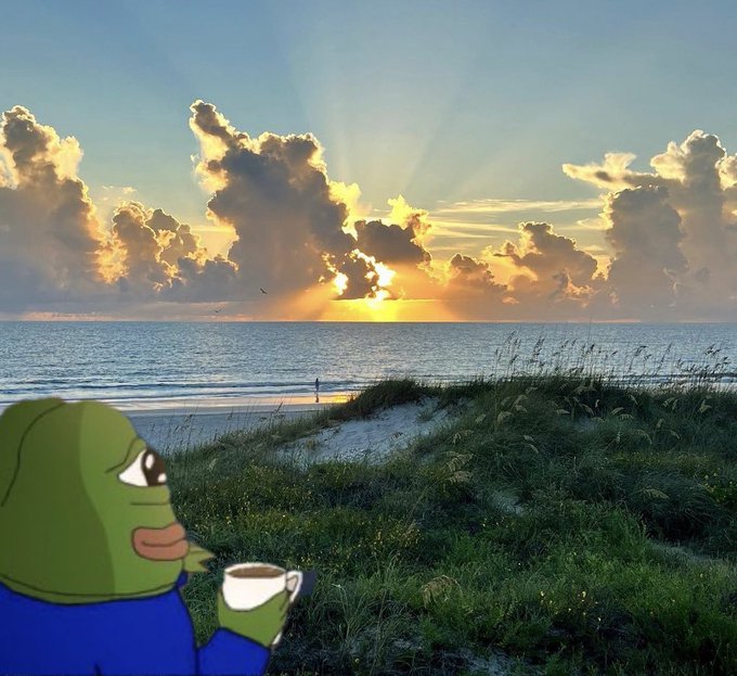 A cartoon Pepe the Frog sits in a grassy dune overlooking a sunset over the ocean, holding a coffee mug in quiet contemplation. The serene, reflective scene mirrors the post's tone of admitting a wrong prediction about Zcash (ZEC), with Pepe watching the sunset as a symbolic moment of graceful concession to fellow crypto "brethren."