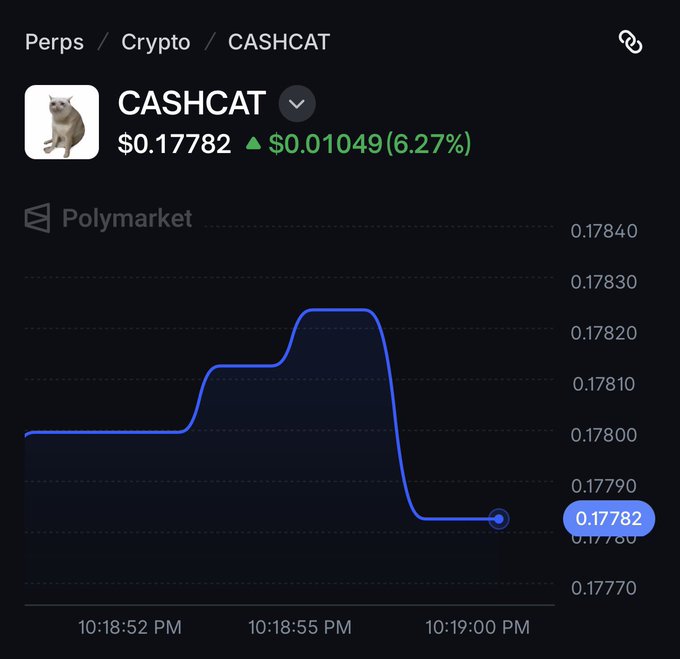 A cryptocurrency trading chart for CASHCAT on Polymarket showing a price of $0.17782, up $0.01049 (6.27%), with a price line graph.