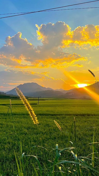 A scenic view of a green grassy field with mountain ranges in the distance, illuminated by a brilliant golden sunset with sun rays piercing through clouds.