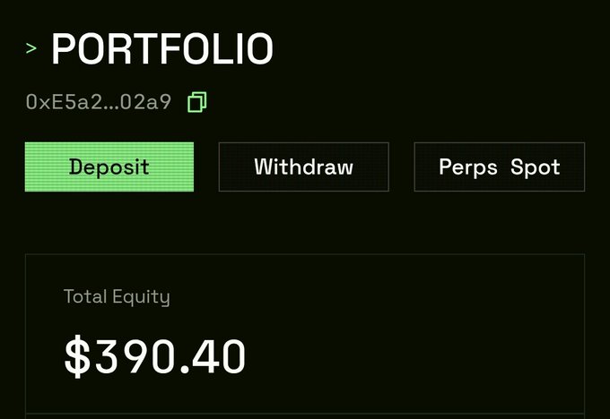 A dark-themed crypto portfolio dashboard showing wallet address 0xE5a2...02a9 with Deposit, Withdraw, and Perps Spot buttons, and a Total Equity of $390.40.
