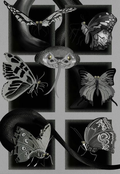 A black and white illustration showcasing a snake interwoven with five different species of butterflies in a grid-like pattern.