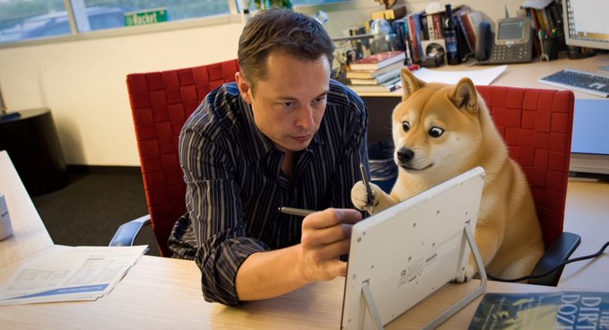 A man with dark hair sits at a desk, intently focused on a small tablet or device, while a Shiba Inu dog perches beside him, gazing at the screen with curiosity. The image humorously illustrates the post's reference to Elon Musk and the $DOGE meme coin, pairing the tech mogul with the iconic dog breed that inspired the cryptocurrency.