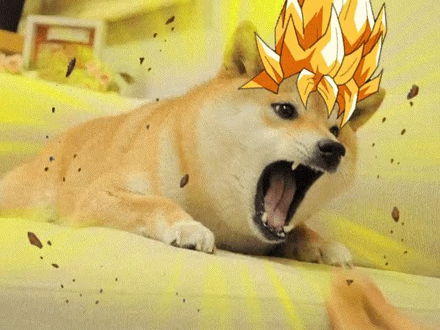 The image features a dog with its mouth open, possibly growling or barking, wearing a yellow and orange costume that resembles a character from a cartoon or anime series. The background of the image shows a couch against which the dog is sitting, surrounded by small pieces of debris such as confetti or broken glass.