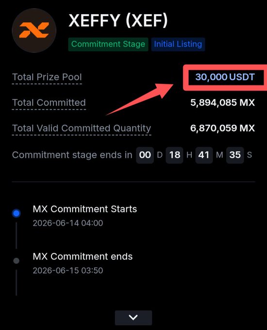 The image shows a screenshot from a Kickstarter page, which is set against a black background with white text elements. One of the main elements displayed in the picture is a scoreboard indicating that $30,000 USDT has been committed for a particular share on MEXC. There are two people featured in this share, one of them having more than five invitees who have already confirmed their participation to the fundraising campaign. The other person is also an invitee with four confirmations and a fifth invitation being received. The overall goal of the fundraiser appears to be to raise enough funds to achieve initial listing. To do so, they need at least five participants each for $XEFFY.