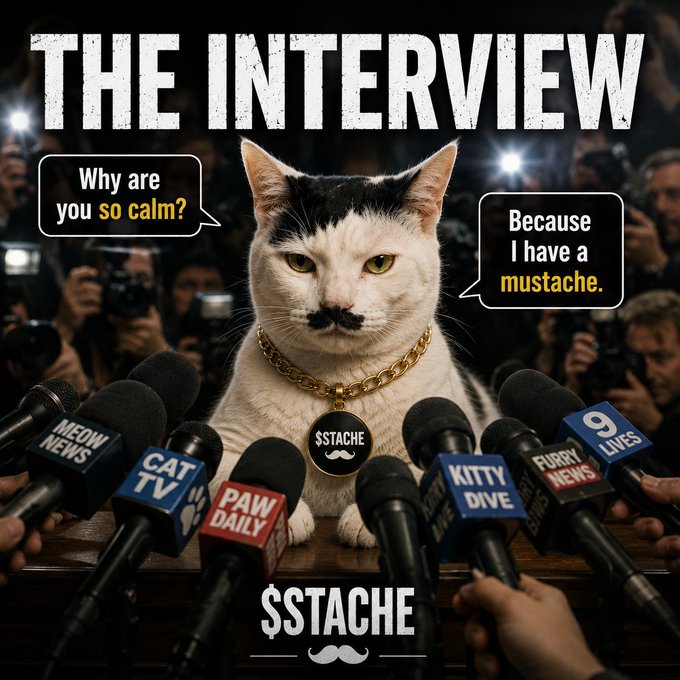 A humorous meme showing a black and white cat at a press conference surrounded by microphones labeled 'Meow News,' 'Cat TV,' 'Paw Daily,' 'Kitty Dive,' 'Furry News,' and '9 Lives,' with speech bubbles reading 'Why are you so calm?' and 'Because I have a mustache,' and the caption '$STACHE' below.