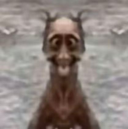 The image features a close-up of an animal, possibly a dog or a bear, with its face prominently displayed. The animal appears to be smiling, giving off a happy vibe. The background of the image consists of water, which adds to the overall atmosphere and context of the photo. The caption below the image reads "全面拥抱美股卖出全部山寨币币圈资产以后只剩 BTC BNB HYPE 复习一下子时六步走". This caption suggests that the image might be related to a post about cryptocurrency or an advertisement for a product.