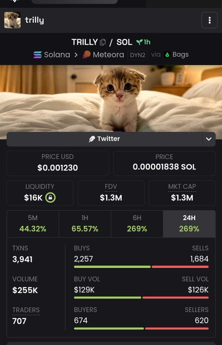 The image shows a screenshot of a mobile phone screen displaying some financial information, including the names of people involved, the currency exchange, and the amount of money they are holding at that time. The main focus is on the price of solanada (Solana) in dollars, which can be accessed through the Twitter bot. The background features a picture of a cat sitting on top of a bed, adding an element of humor to the scene.