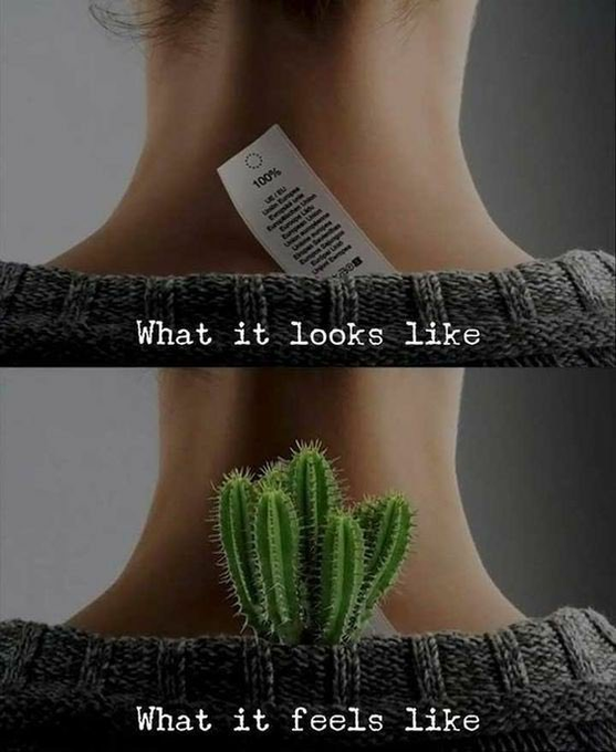 The top half of the image shows a clothing tag on someone's neck labeled "100% Life Fall," labeled "What it looks like," while the bottom half shows a cactus in the same position, labeled "What it feels like"—humorously contrasting the harmless appearance of a tag with the prickly irritation it causes, relating to the caption about the annoyance of clothing tags.