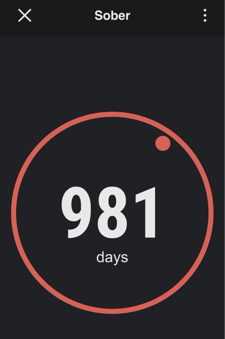A screenshot of a sobriety tracking app called 'Sober' displaying a counter that reads '981 days' inside an orange circular progress indicator.
