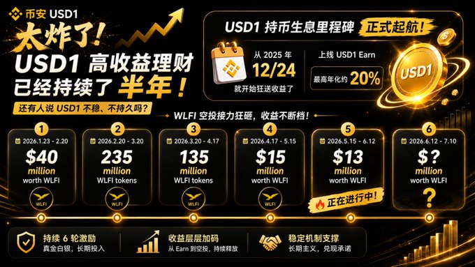 The poster features a graphic of six gold rings, with one ring labeled "USD1" at the bottom center and another at the top left corner. The image includes text that says "卧槽!币安 USDC1 高收益理财已经持续整整半年了 现在还有人觉得 USD1 久吗？从 202.12.24 日开始，公和市WLFI". The poster also includes a line chart and a flowchart with dollar amounts for the last six months.