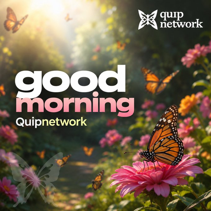 The image is a "Good Morning" greeting graphic featuring a vibrant garden scene with a prominent monarch butterfly perched on a pink daisy flower, surrounded by additional butterflies and colorful blooms, with "Good morning Quipnetwork" text and a Quip Network logo (stylized butterfly icon with "qurp network") in the upper right corner.