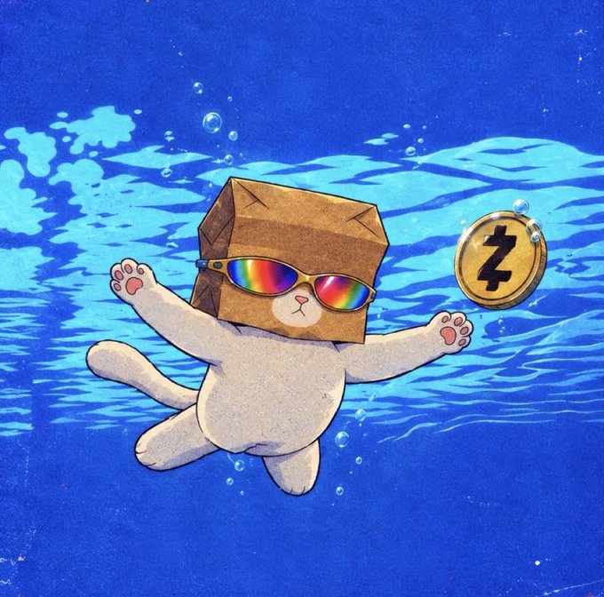 A cat with a paper bag on its head wearing rainbow sunglasses floats underwater alongside a gold coin featuring the "Z" symbol for $ZCAT, visually representing the "diving deep" into yield-bearing memecoins as investors abandon non-yielding competitors in pursuit of positive expected value (+EV).