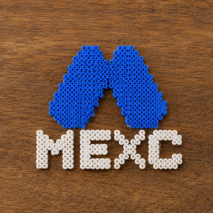 Blue and white perler beads arranged on a wooden surface to form a lung logo and the word 'MEEPC'.