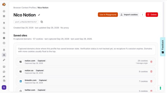 A screenshot of a browser context profile page for 'Nico Notion', displaying saved sites such as notion.com, notion.so, linkedin.com, and twitter.com with their respective captured cookies.