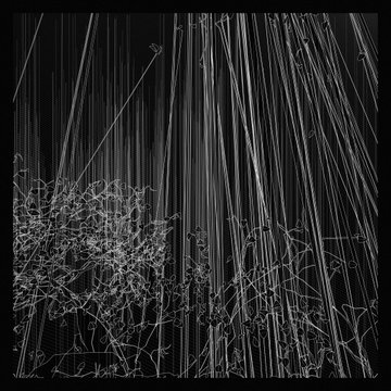 A black and white abstract or glitch-style image featuring vertical streaks and web-like patterns.