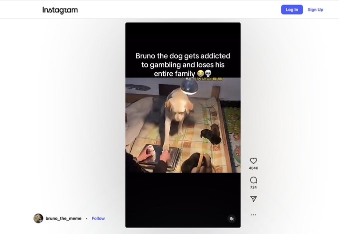An Instagram video from @bruno_the_meme shows a bulldog wearing a lamp shade around his neck at a table, captioned "Bruno the dog gets addicted to gambling and loses his entire family 💀💀," with 404K likes, being used to promote a $Bruno memecoin narrative.