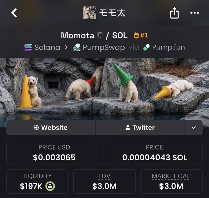 A crypto token profile page for 'Momota / SOL' on the Solana blockchain via PumpSwap and Pump.fun, showing polar bears wearing colorful traffic cones, with a price of $0.003065 USD and a market cap of $3.0M.