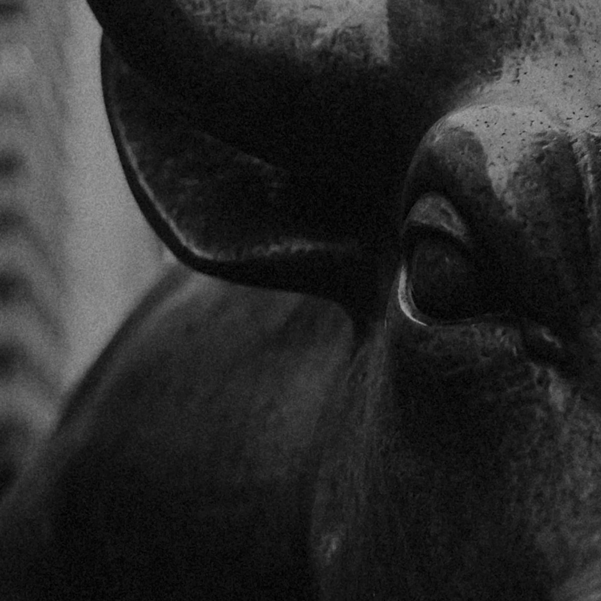 A grainy, high-contrast black-and-white close-up shows the side profile of a person wearing a cap, with only their ear and the back of their head visible. The moody, textured aesthetic complements the post's theme of introspection and trust in financial infrastructure, visually echoing the weighty, behind-the-scenes tone of OKX's Singapore event on building the future of money.