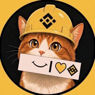 A cartoon cat wearing a yellow construction helmet featuring the Binance logo holds a sign displaying a smiley face, a heart, and the Binance diamond symbol. The image serves as the mascot for the "币安猫" (Binance Cat) memecoin on BNBChain.