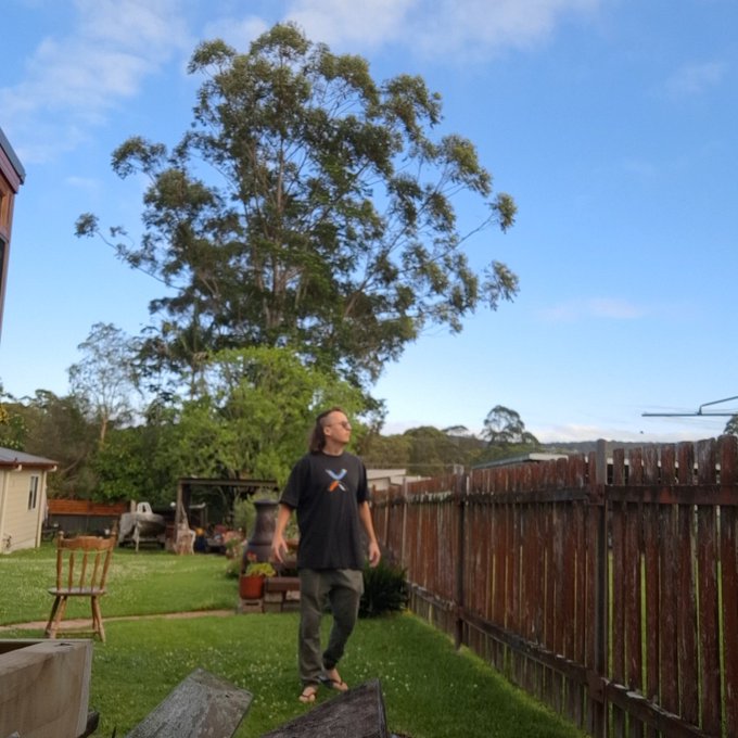 A person in a black t-shirt and gray pants walks across a grassy backyard with a wooden fence, looking up at a large green tree against a partly cloudy blue sky.