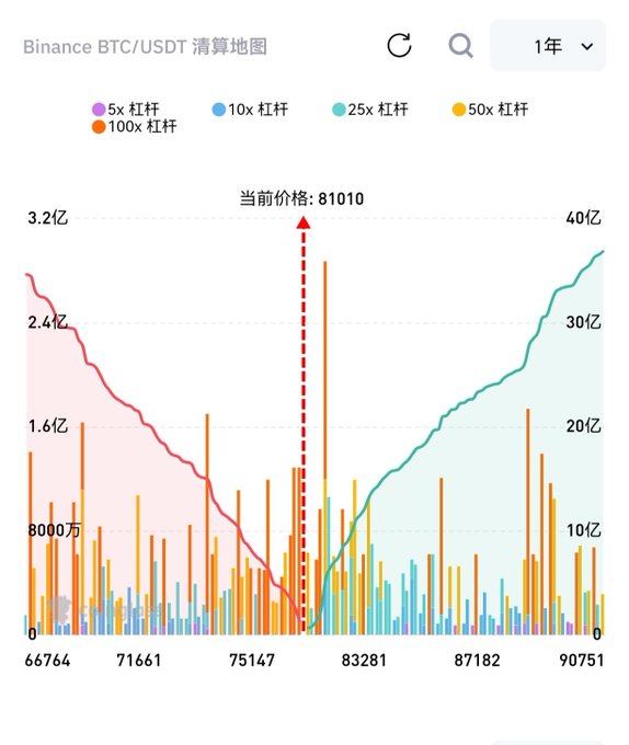 A Binance BTC/USDT liquidation map showing current price at 81010, with a 1-year view displaying leveraged positions at 5x, 10x, 25x, 50x, and 100x across price levels.