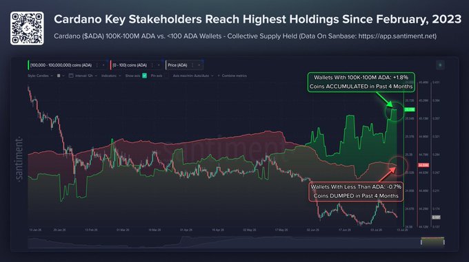 A Santiment chart showing Cardano ($ADA) data on Sanbase displays that wallets holding 100K-100M ADA have increased their collective holdings by +1.8% in the past 4 months, reaching their highest levels since February 2023, while wallets holding less than 100 ADA have decreased by -0.7%, indicating whale accumulation as smaller holders dump.