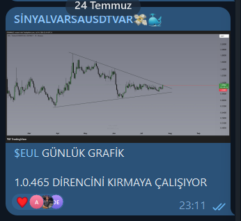 A Telegram post dated July 24 announces "SİNYALVARSAUSDTVAR" (SignalIfUSDTVar) celebrating $EUL breaking the 1.0465 resistance level on its daily chart, sharing a 59% spot profit result from earlier signals. The accompanying daily $EUL chart shows the recent price breakout that validates the trading signal's success.