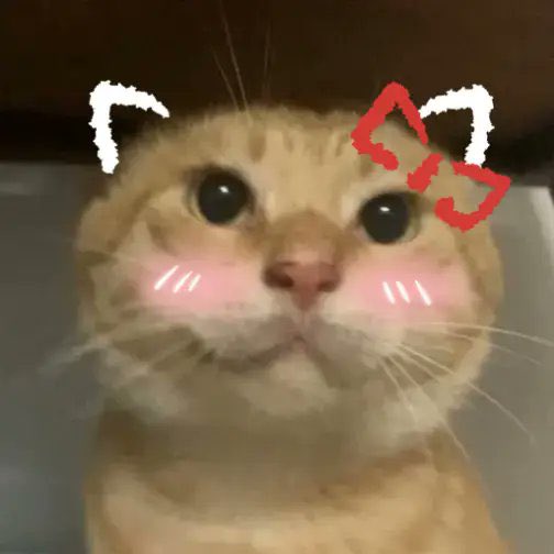 A close-up of a cat with blushing cheeks and pixelated bows added to its head, looking somewhat stoic or unimpressed. The image appears to be used as a reaction meme, with the cat's deadpan expression humorously conveying the poster's resigned or indifferent attitude toward the criticism of Binance listing meme coins on Alpha.
