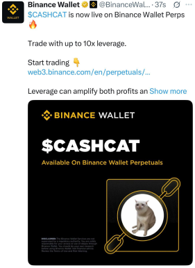 A Binance Wallet tweet announcing that $CASHCAT is now live on Binance Wallet Perps, offering up to 10x leverage, featuring a black graphic with a cat image.