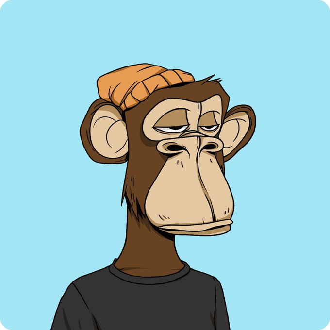 A cartoon illustration of a Bored Ape-style monkey wearing an orange beanie and black shirt against a light blue background, resembling the Bored Ape NFT collection.