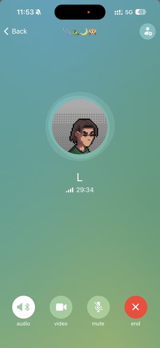 The image shows an active call screen between the user and "L" lasting 29:34, featuring a pixel-art avatar of a person with glasses. This aligns with the post about the user signing off after a productive conversation with his brother @LoganNfts before minting NFTs from @TheAntAcademy.