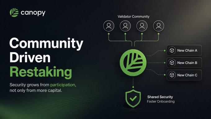 Marketing graphic for Canopy featuring 'Community Driven Restaking,' showing a validator community connecting to new chains with the tagline 'Security grows from participation, not only from more capital.'