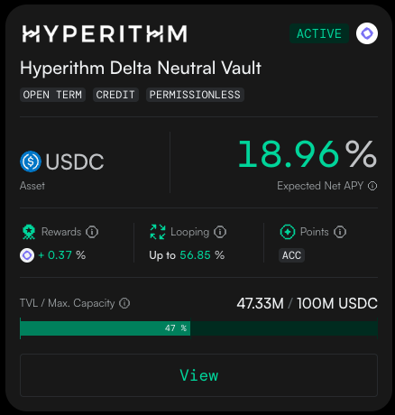 A dashboard for the 'Hyperithm Delta Neutral Vault' showing an Active status, USDC asset, 18.96% Expected Net APY, and a TVL of 47.33M / 100M USDC.