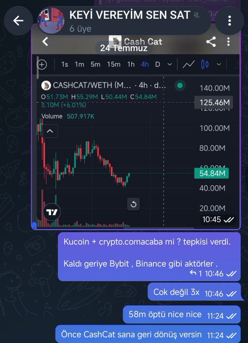 A Telegram chat in Turkish features a 4-hour chart for 'CASHCAT/WETH' alongside messages discussing Kucoin, Bybit, and Binance.