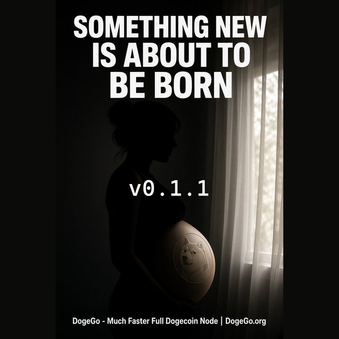 A silhouette of a pregnant woman standing by a window with text "SOMETHING NEW IS ABOUT TO BE BORN v0.1.1" and "DogeGo - Much Faster Full Dogecoin Node".