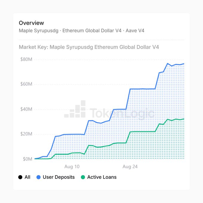A chart titled 'Overview - Maple Syrupsdg · Ethereum Global Dollar V4 · Aave V4' showing growth in User Deposits (reaching ~$80M) and Active Loans (reaching ~$30M) between early August and late August.