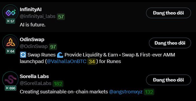 The image shows a list of followed crypto projects on X, including InfinityAI (@infinityai_labs, 57), OdinSwap (@OdinSwap, 97), and Sorella Labs (@SorellaLabs, 182), with each displaying an “Đang theo dõi” button. It relates to the post by illustrating followed accounts that may be filtered by whether they still have the blue verification checkmark.