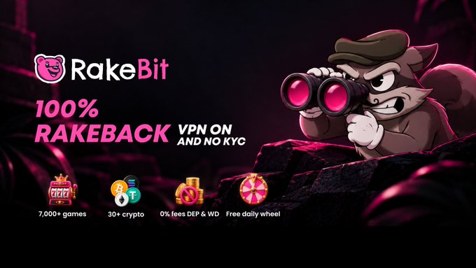A promotional banner for RakeBit casino featuring a cartoon raccoon with binoculars, highlighting "100% RAKEBACK," "VPN ON AND NO KYC," and showcasing features like "7,000+ games," "30+ crypto," "0% fees DEP & WD," and a "Free daily wheel" — directly tying into the post about browsing their extensive game selection.