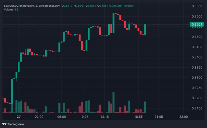A TradingView candlestick chart for **LEAF/USDC** on Raydium shows the token up **+4.60% (+0.005099)** to **0.8561** on the day, with strong green volume spikes reinforcing the bullish momentum and confirming the post's claim of $LEAF being green and building steadily with real holder conviction.