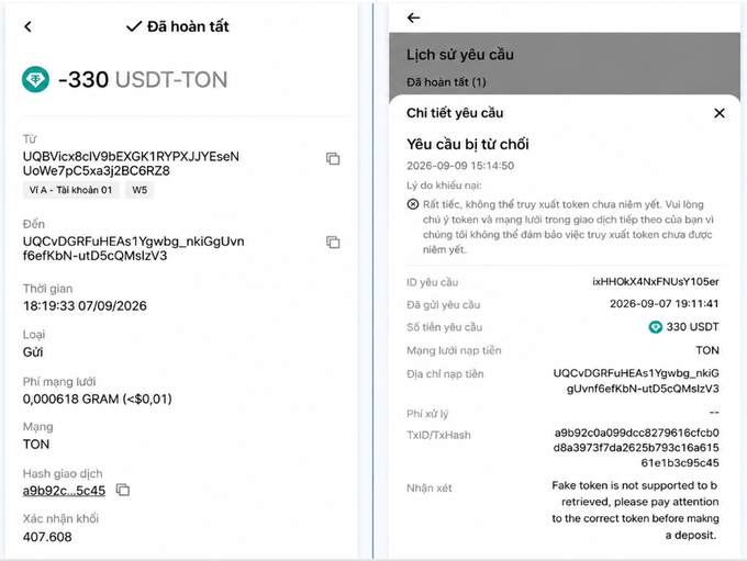 Two mobile interface screenshots in Vietnamese showing a failed USDT-TON transaction with an error message stating 'Fake token is not supported to be retrieved'.