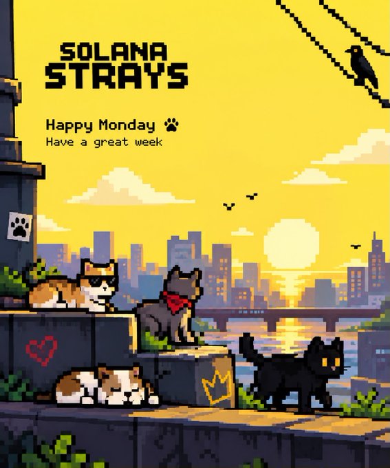 A pixel art illustration titled "Solana Strays" shows various cats lounging on a ledge overlooking a city skyline at sunset, with a greeting reading "Happy Monday, Have a great week."