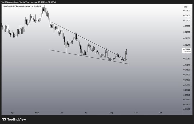 A TradingView chart of the FLOKI/USDT Perpetual Contract on Binance (dated August 20, 2026) shows a descending wedge pattern with the current price at 0.02288 USDT, indicating a potential breakout setup that aligns with the bullish sentiment expressed in the caption "Lovely $FLOKI."